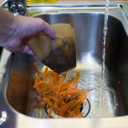 Food waste in the sink